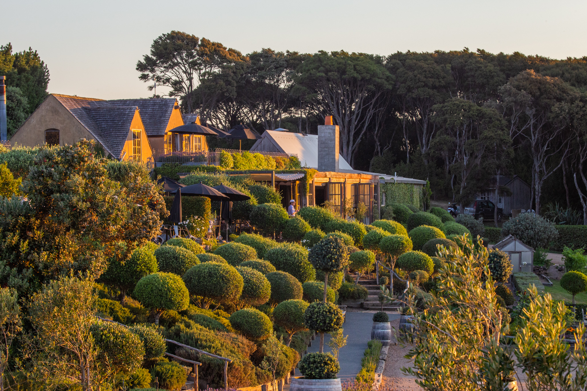 A Guide to Wineries to Visit on Waiheke Island